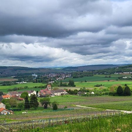 Le Coq De Champagne Villa Dormans Exteriör bild