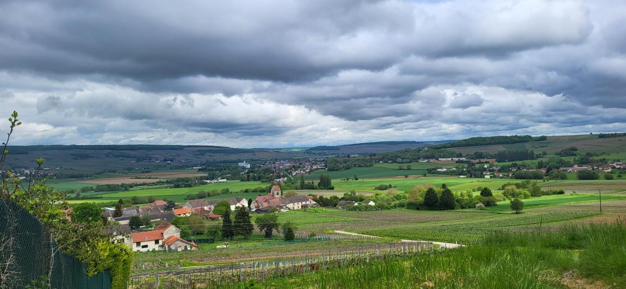 Le Coq De Champagne Villa Dormans Exteriör bild