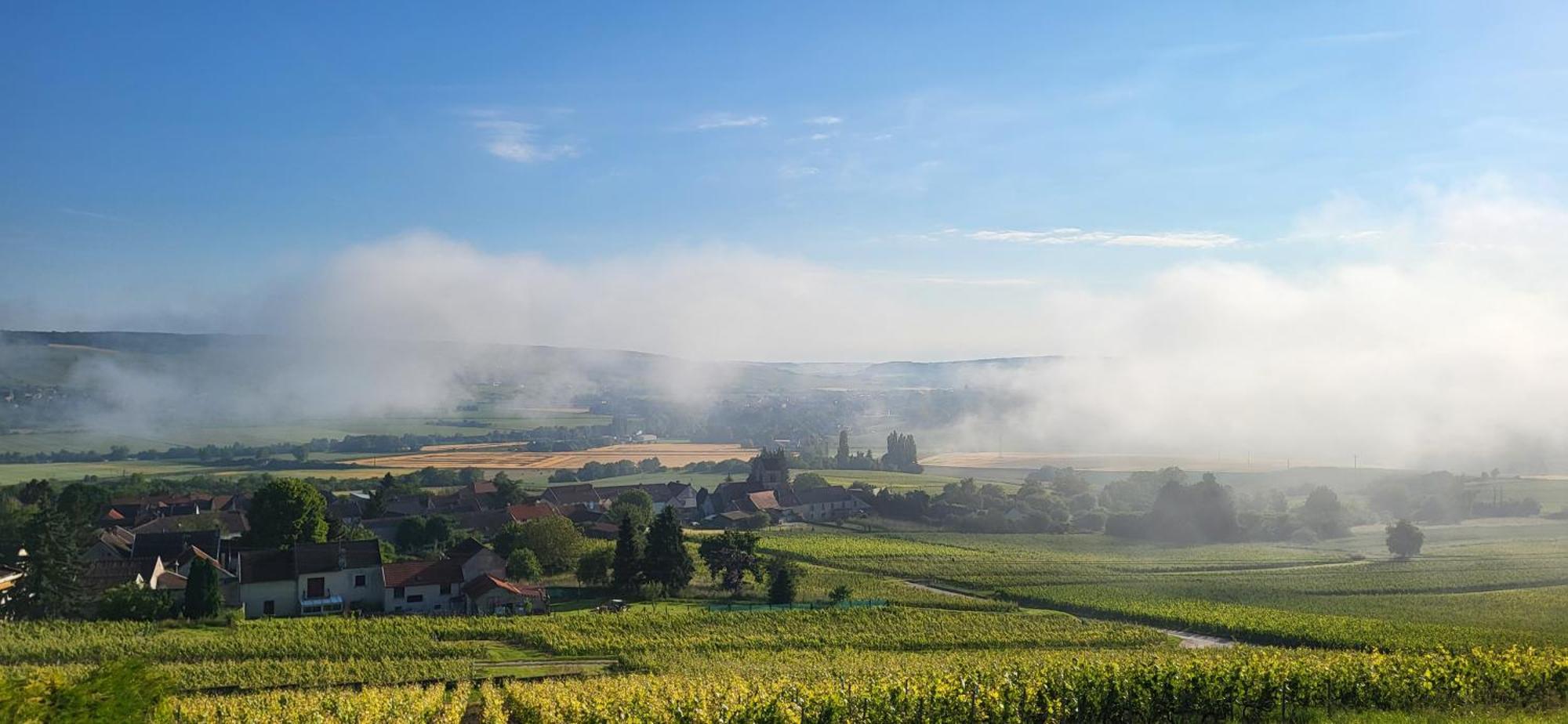 Le Coq De Champagne Villa Dormans Exteriör bild